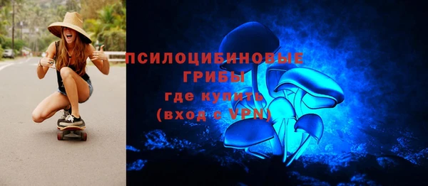 прущая мука Вязники
