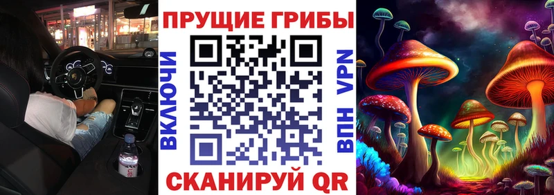 Купить где  Волжский  Псилоцибиновые грибы Magic Shrooms 
